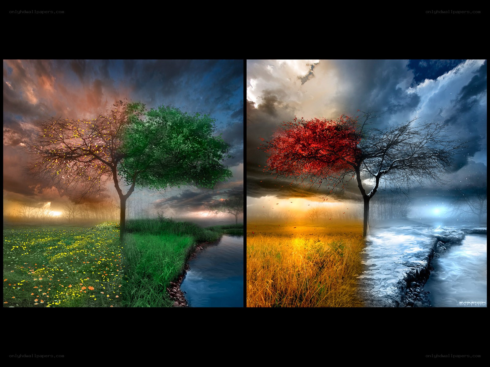 Four Seasons Tree Art
