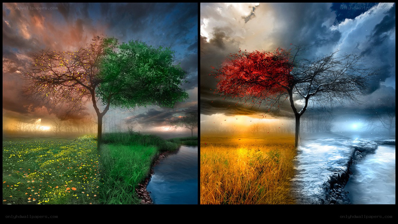 Four Seasons Tree Art