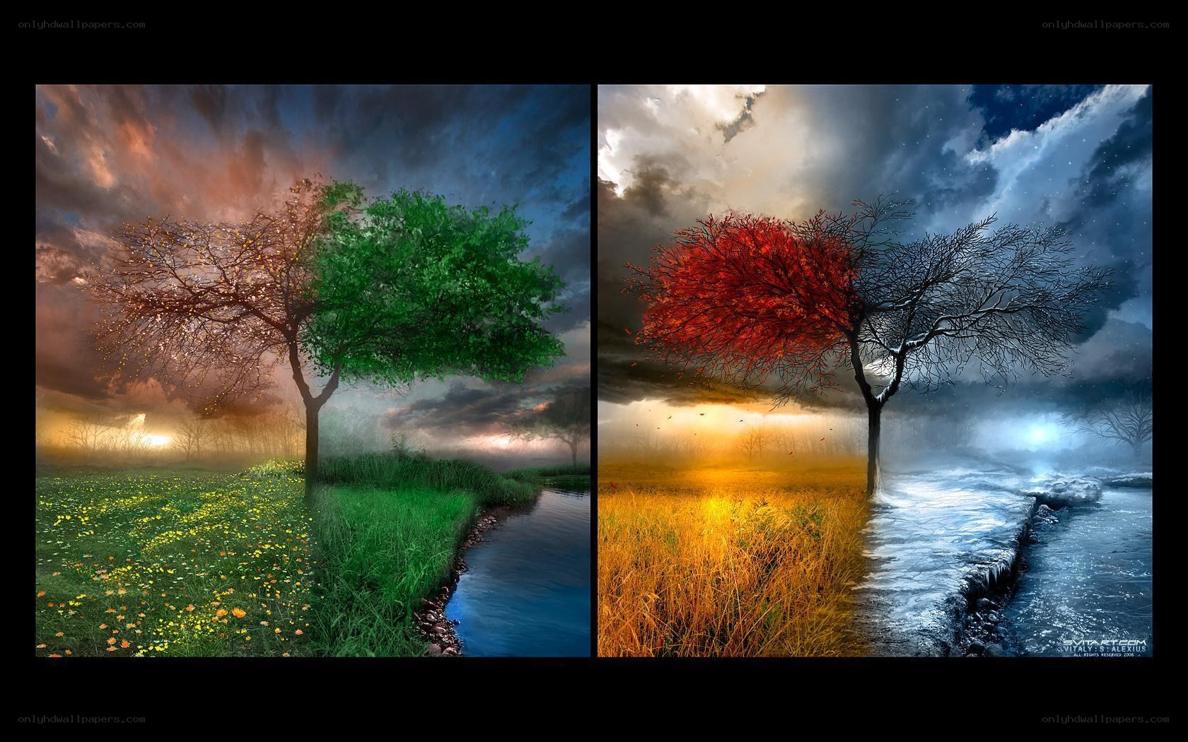 Four Seasons Tree Art