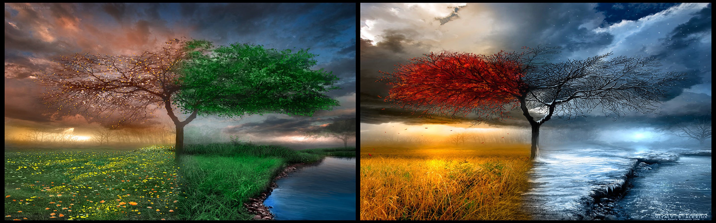 Four Seasons Tree Art