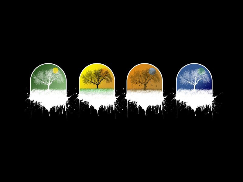 Four Seasons Tree — Black