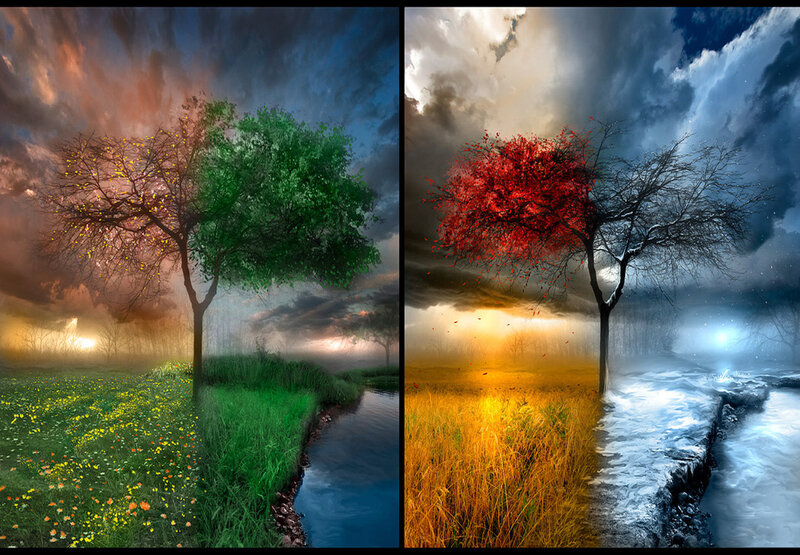 Four Seasons Tree Landscape