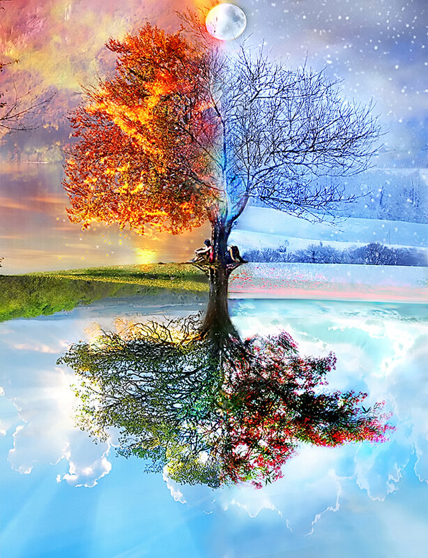 Four Seasons Tree Reflection