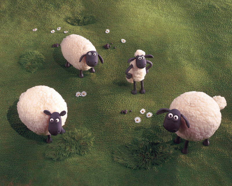 Four Sheep in a Field