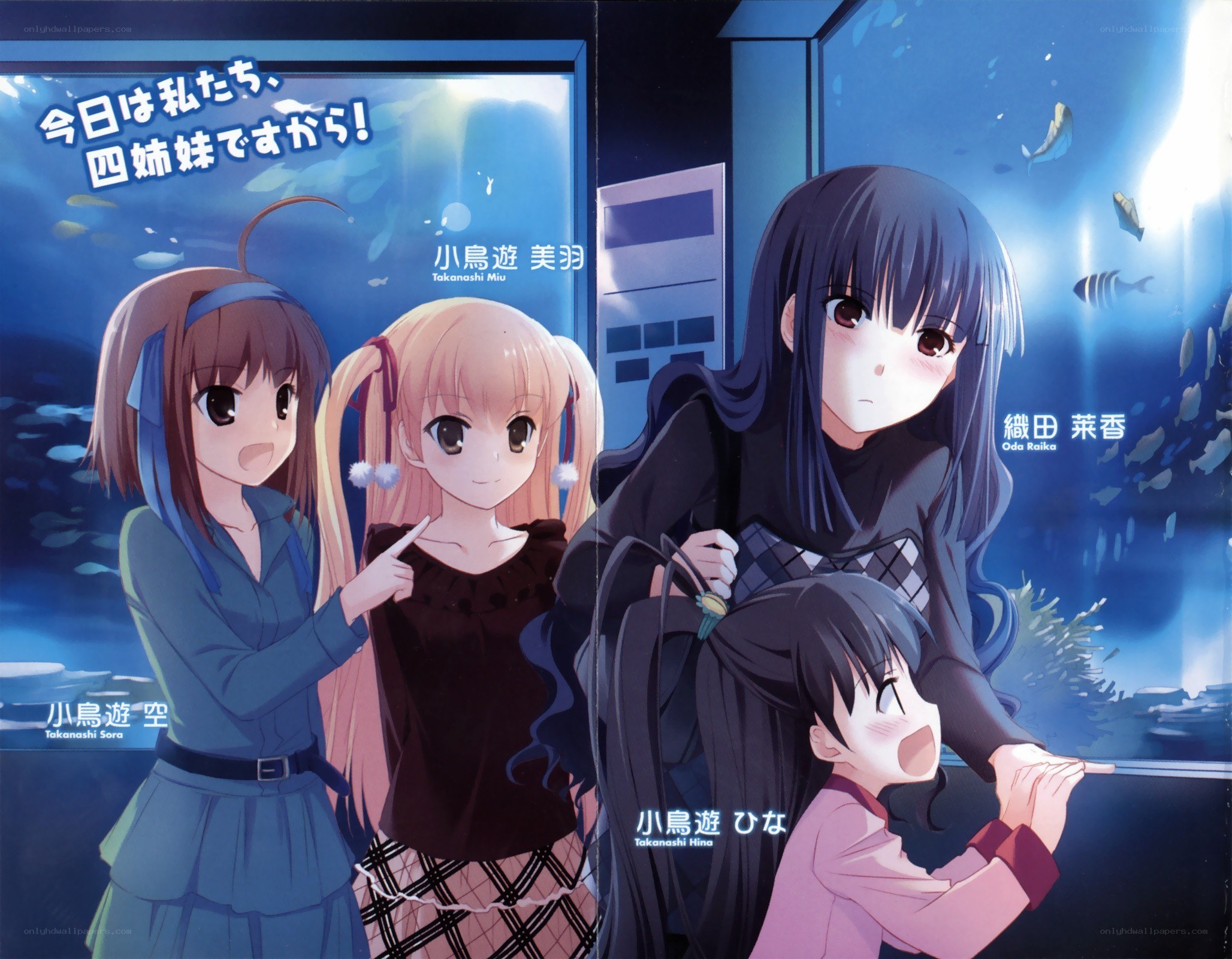 Four sisters at the aquarium