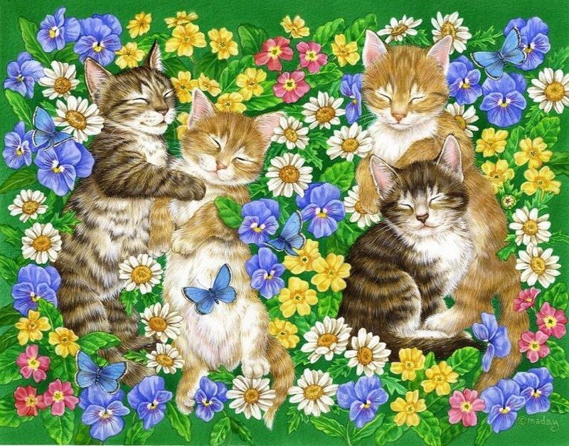 Four Sleeping Kittens — Green