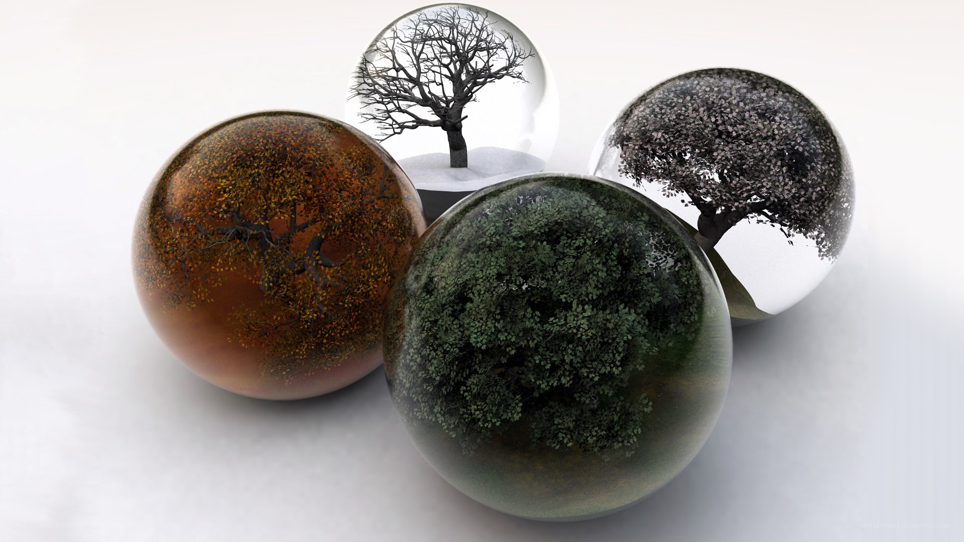 Four spheres with trees