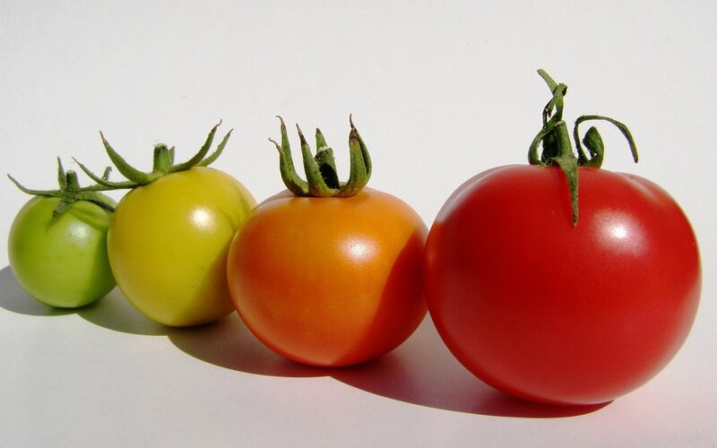 Four Tomatoes in a Row