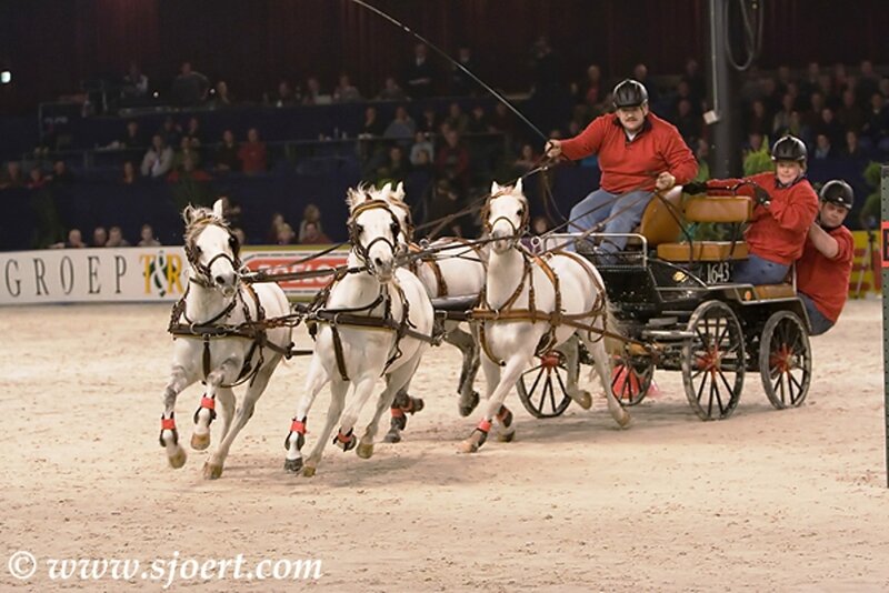 Four White Horses Pulling a Carriage