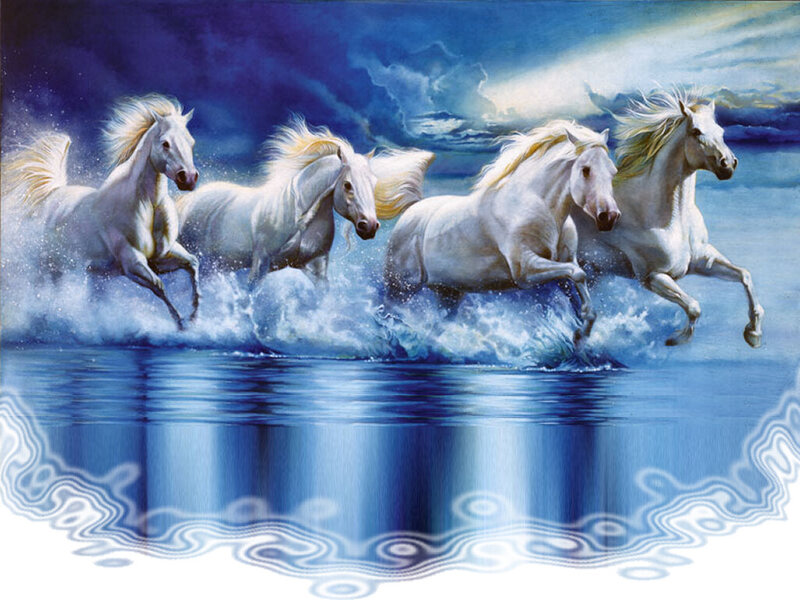 Four White Horses Running