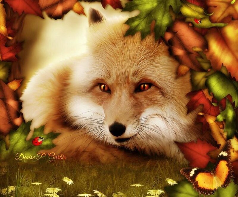 Fox Among Autumn Leaves — Orange