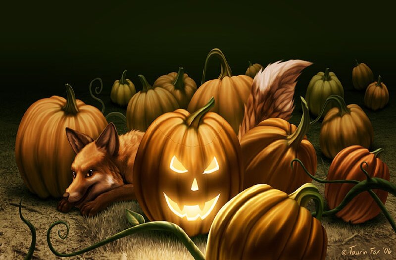 Fox Among Pumpkins
