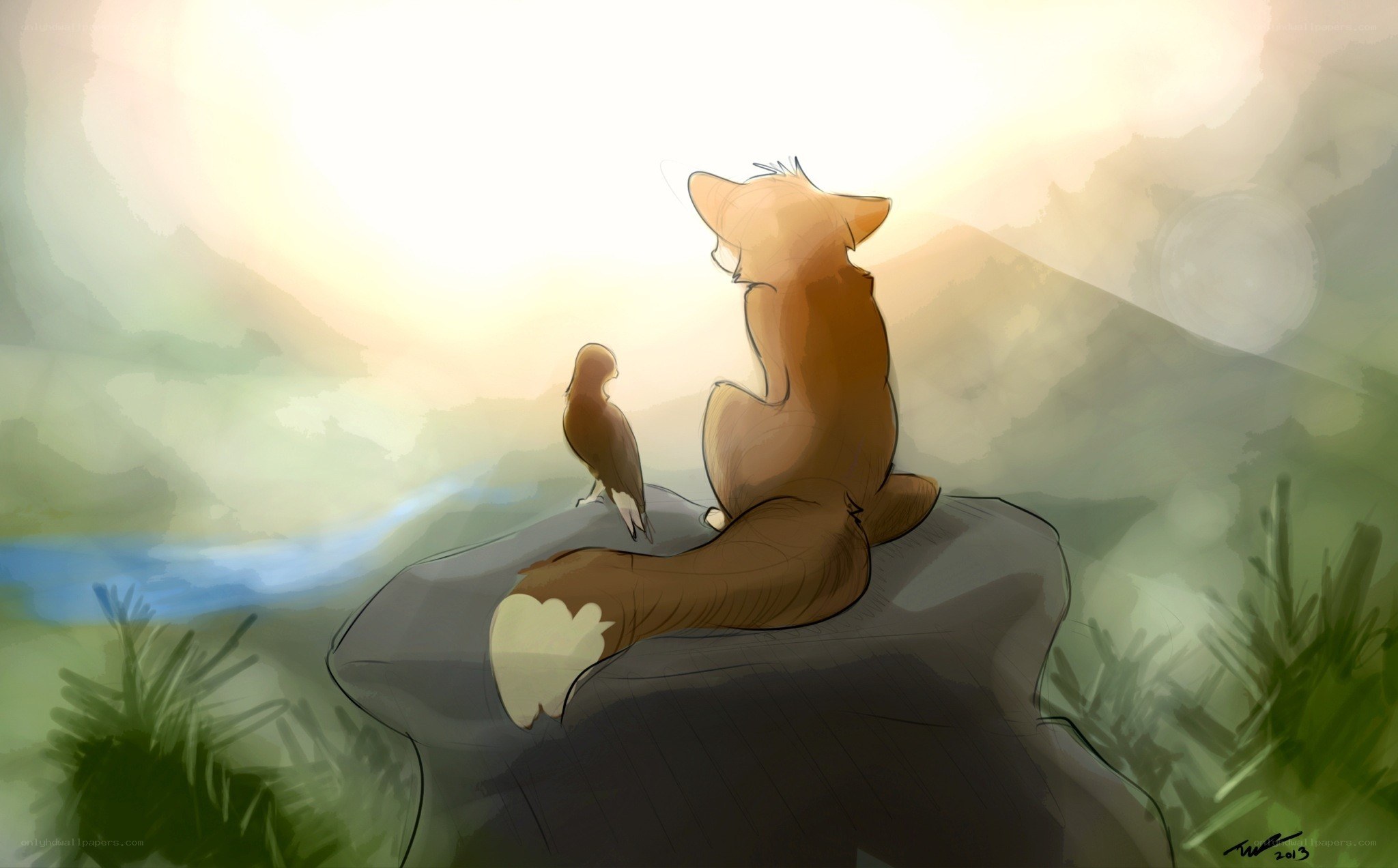 fox and bird on a rock