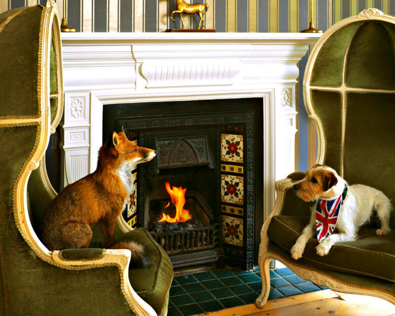 Fox and Dog by Fireplace