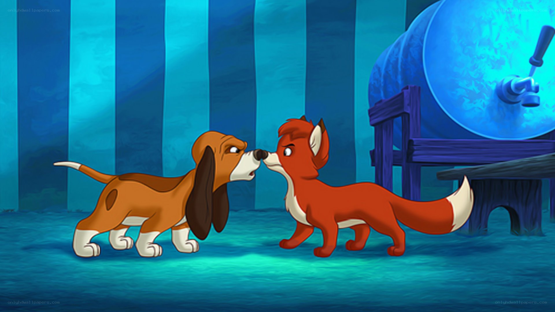 fox and dog face to face