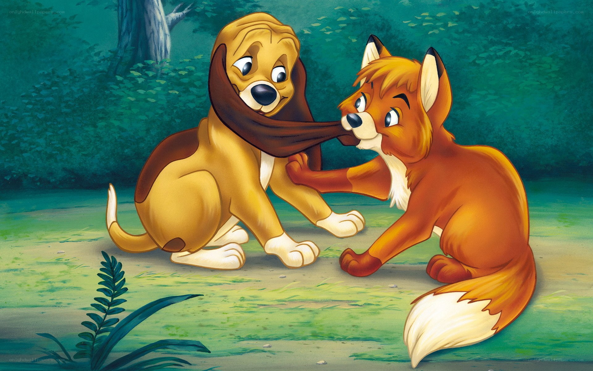 Fox and dog friendship scene