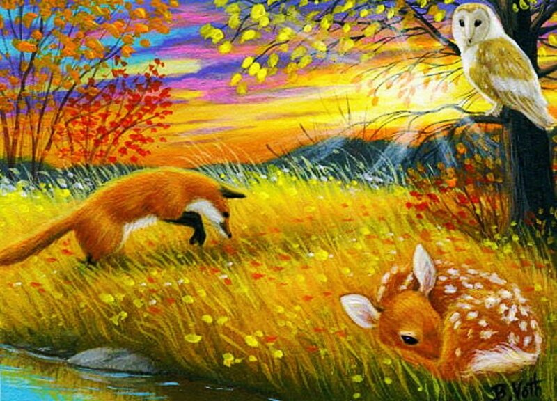 Fox and Fawn in Field