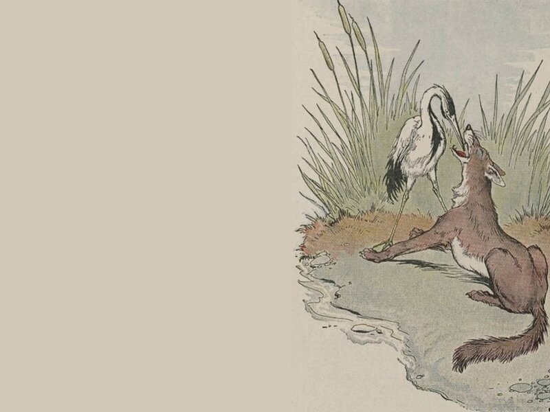 Fox and Heron Interaction