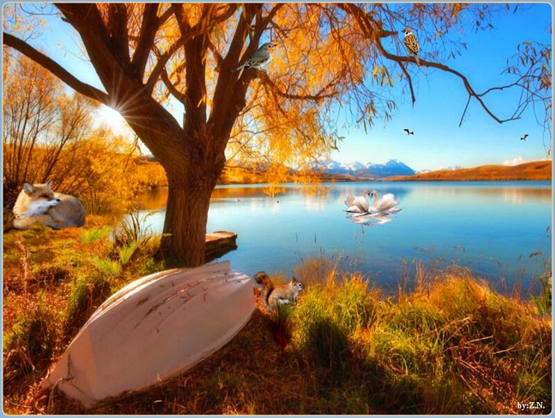 Fox and Swans by Lake