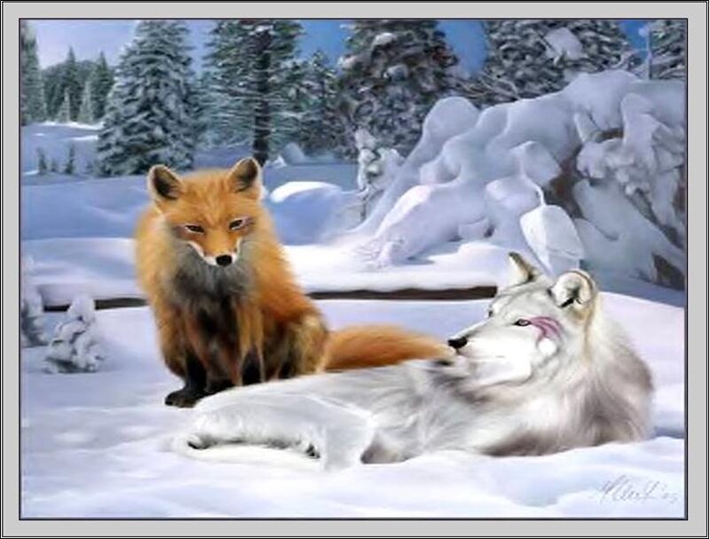 Fox and wolf in snow