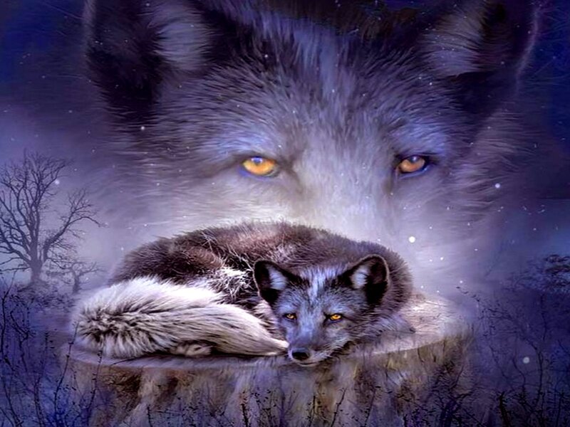 Fox and Wolf in Winter