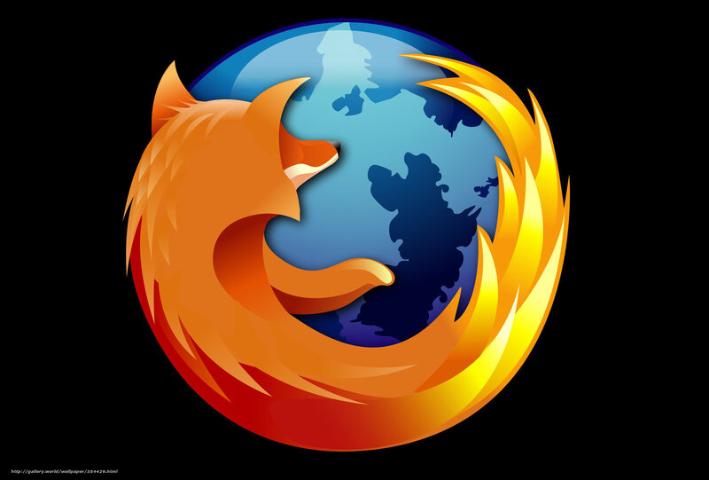 Fox Circling Globe — Orange