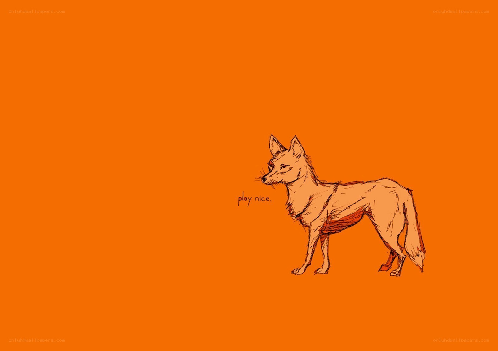 fox drawing on orange