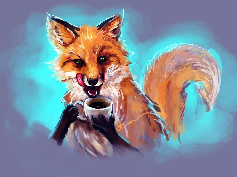 Fox Drinking Coffee