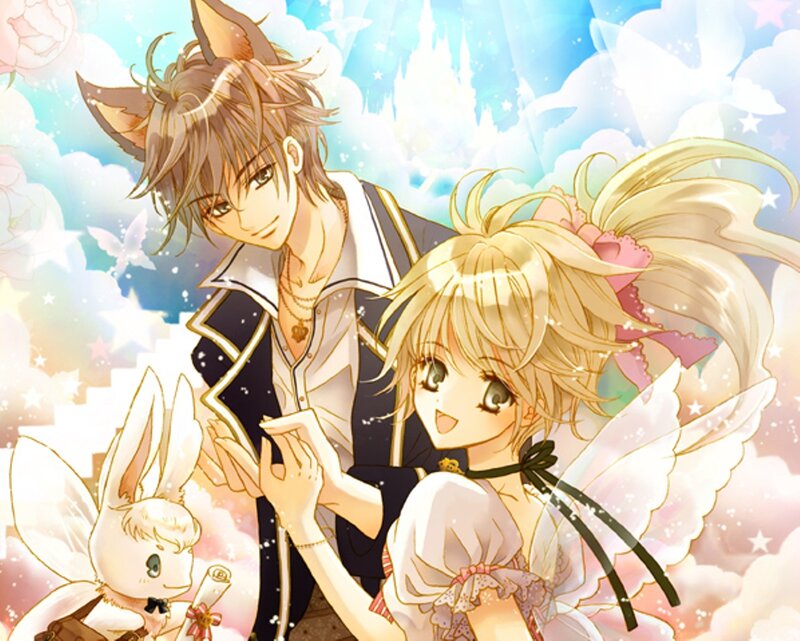 Fox-eared Boy and Fairy Girl