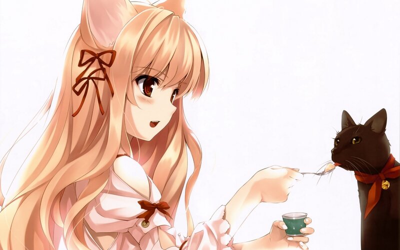 Fox-eared Girl Feeding Cat