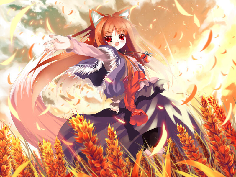 Fox-eared Girl in Field — Orange, Dramatic