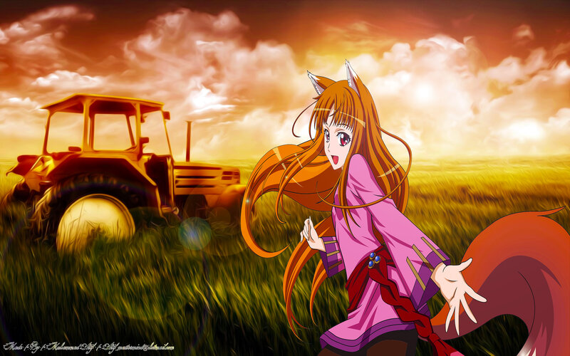 Fox-eared Girl in Field — Orange