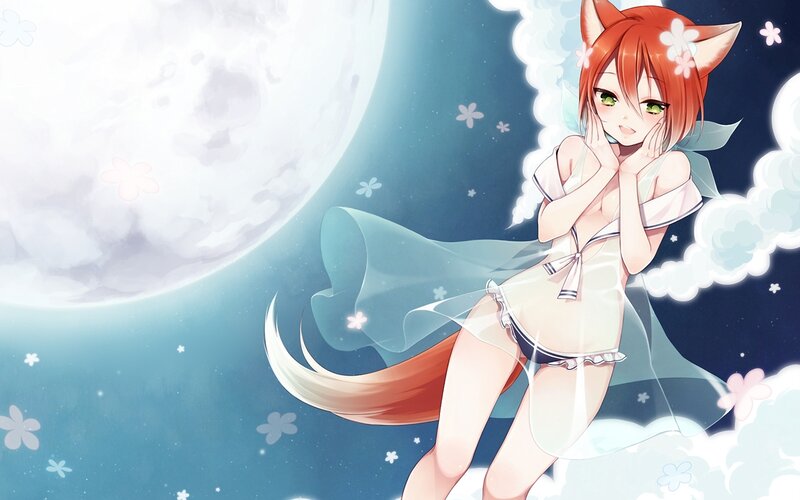 Fox-eared Girl in Night Sky