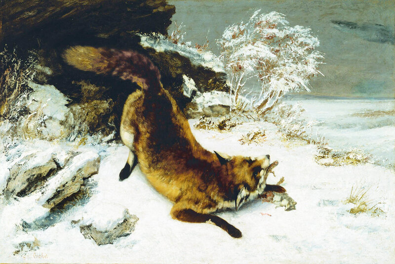 Fox Eating Prey