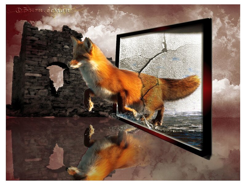 Fox Emerging from Screen