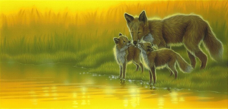 Fox Family at Water