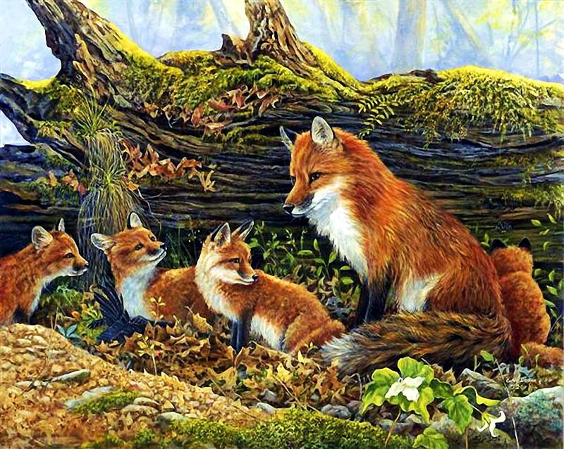 Fox Family in Forest — Orange, Serene, Autumn, Painting