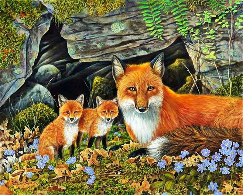 Fox Family in Forest — Orange, Serene, Autumn