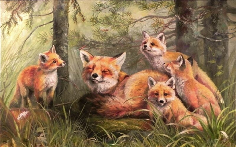 Fox Family in Forest — Orange, Serene