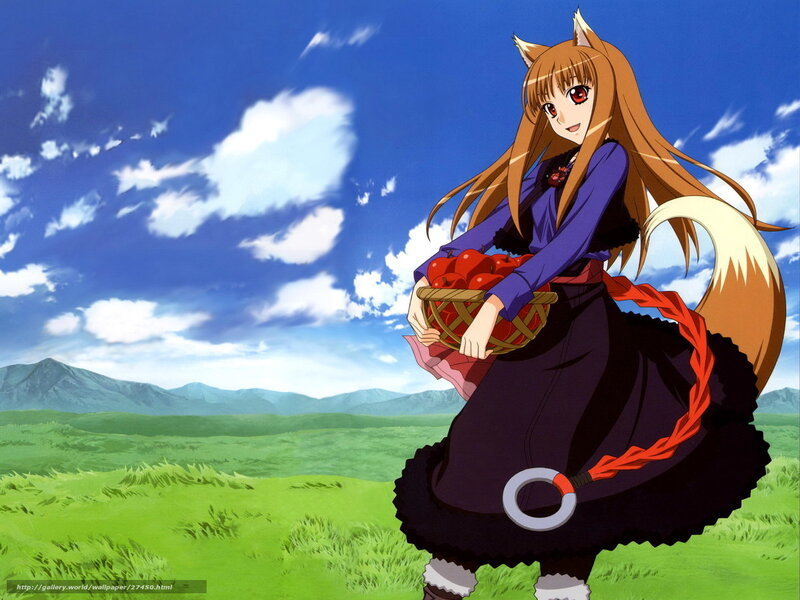 fox girl in a field