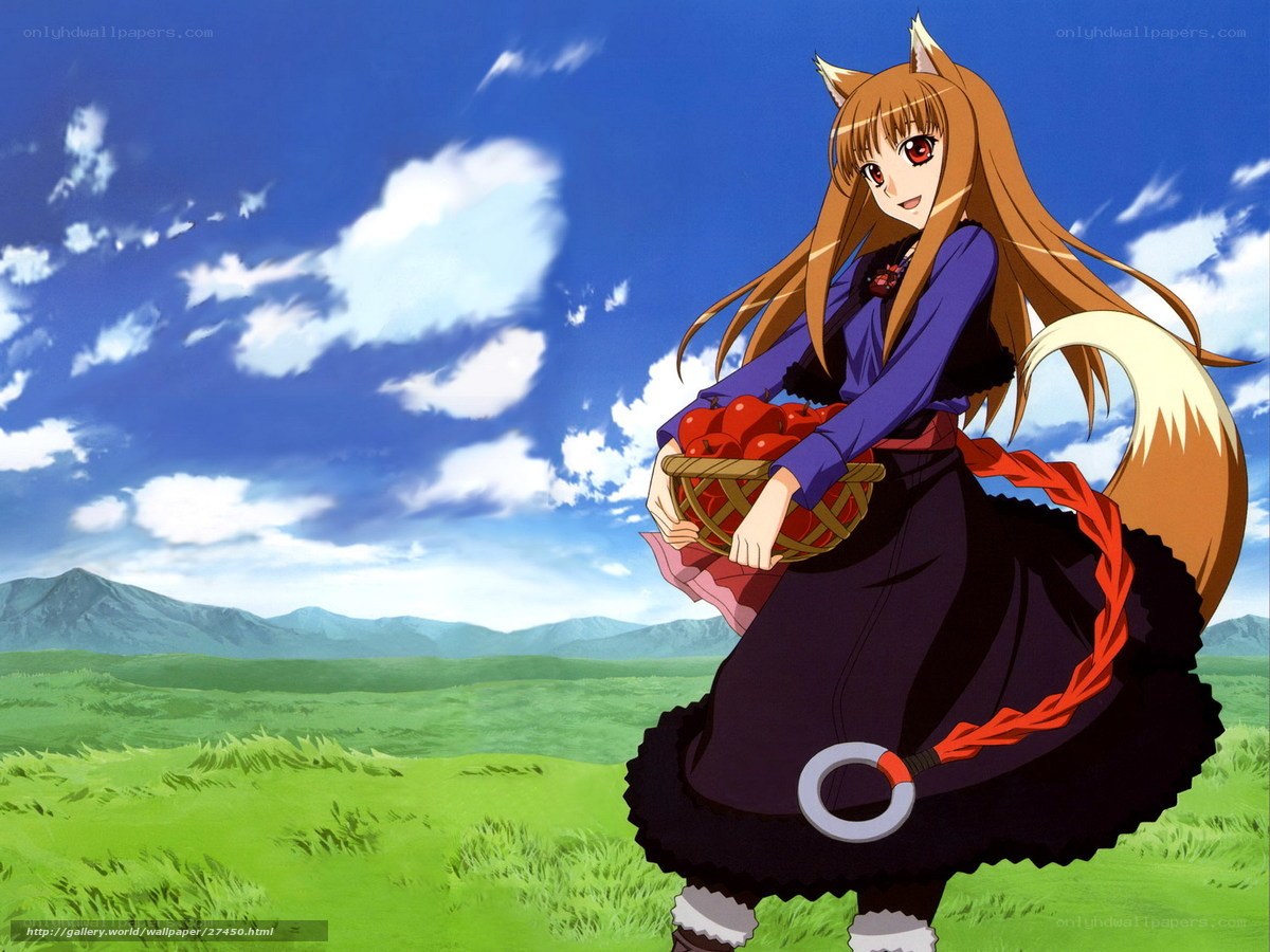 fox girl in a field