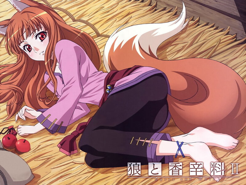Fox girl in a straw field