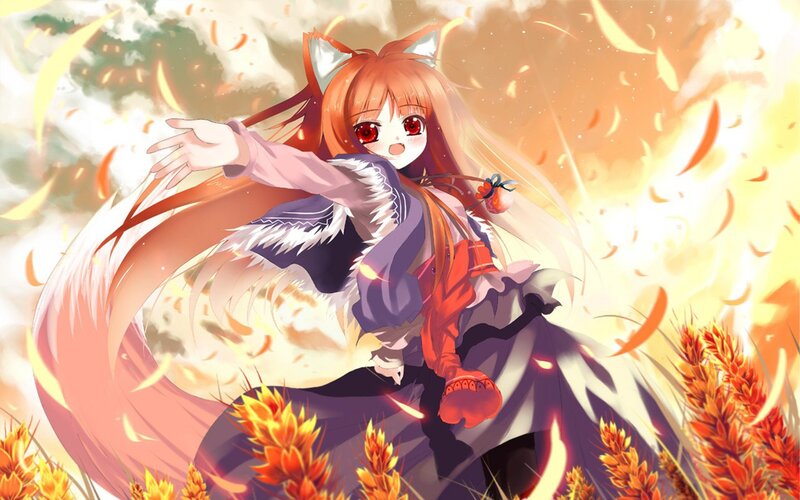 fox girl in a wheat field