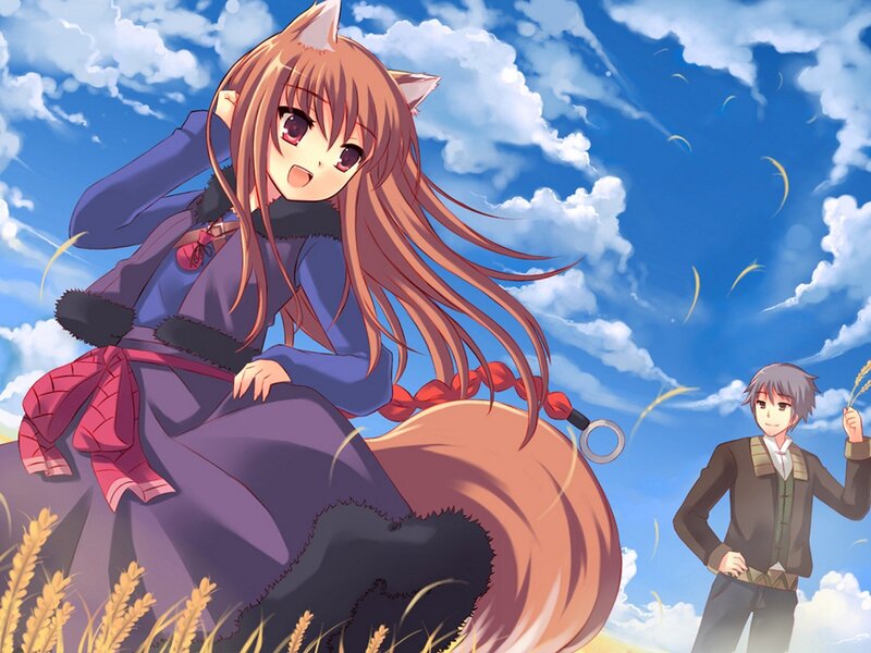 fox girl in a wheat field