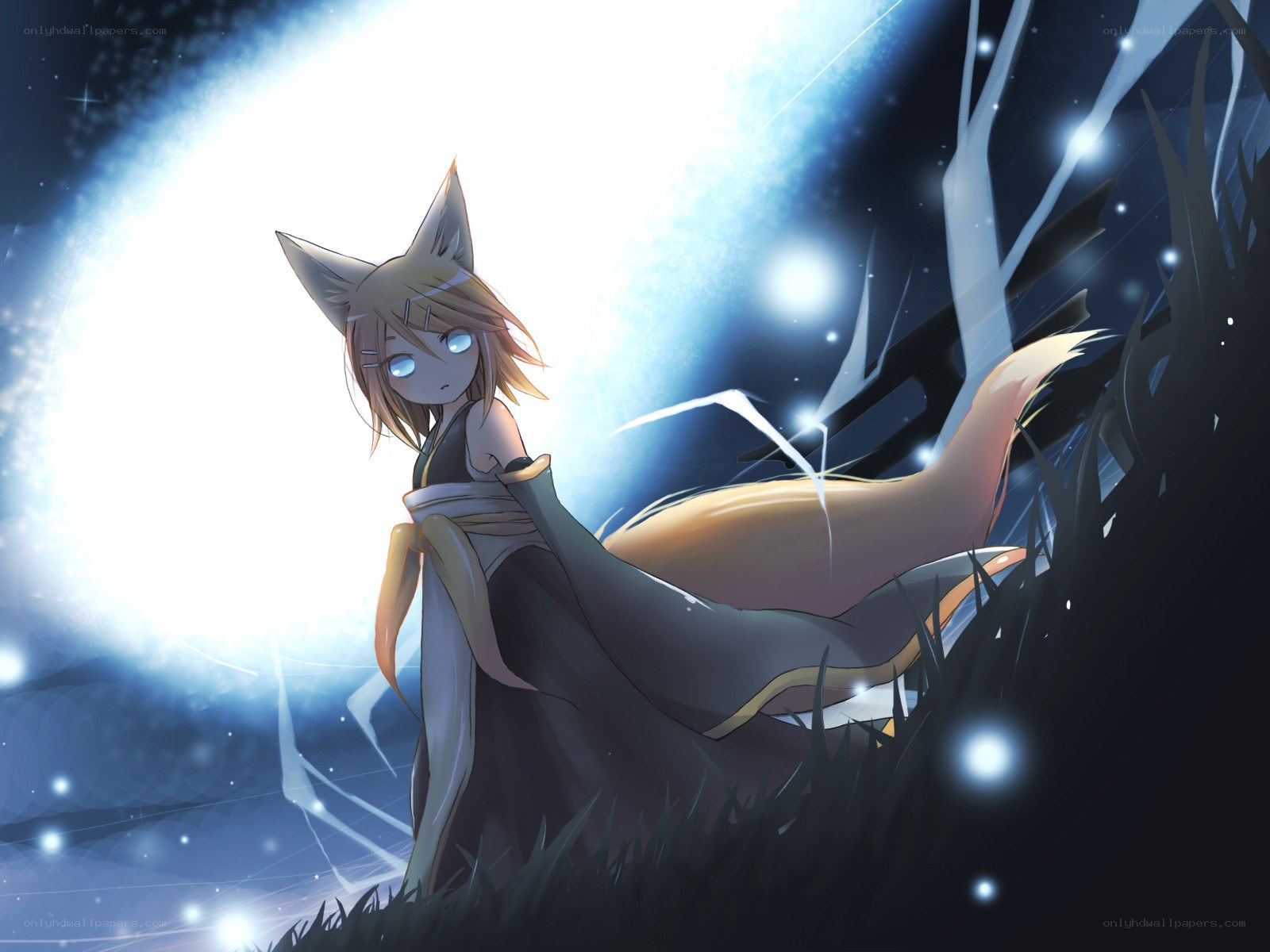 fox girl in moonlight