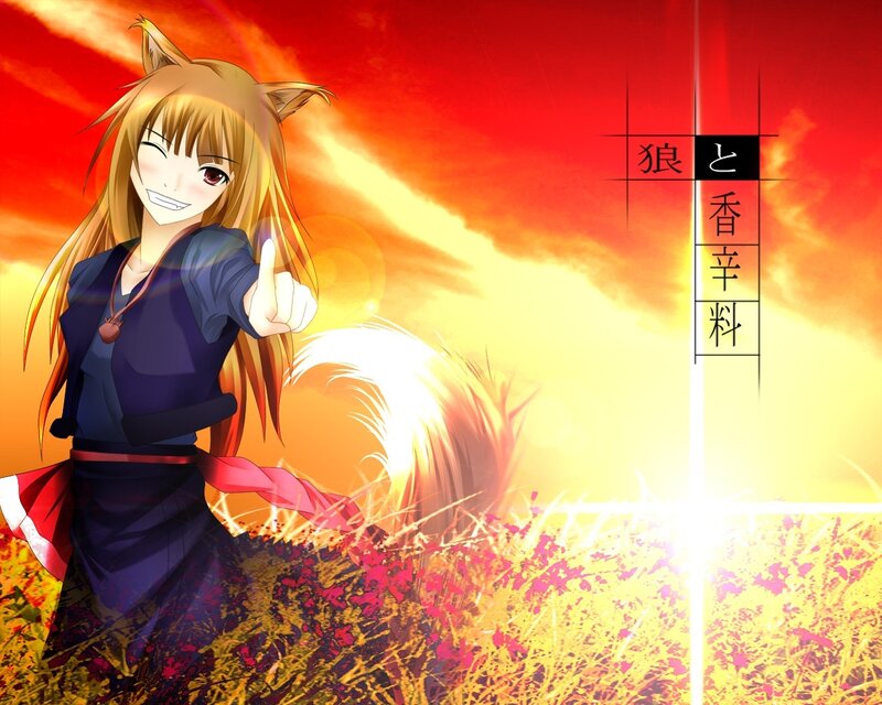 fox girl in sunset field