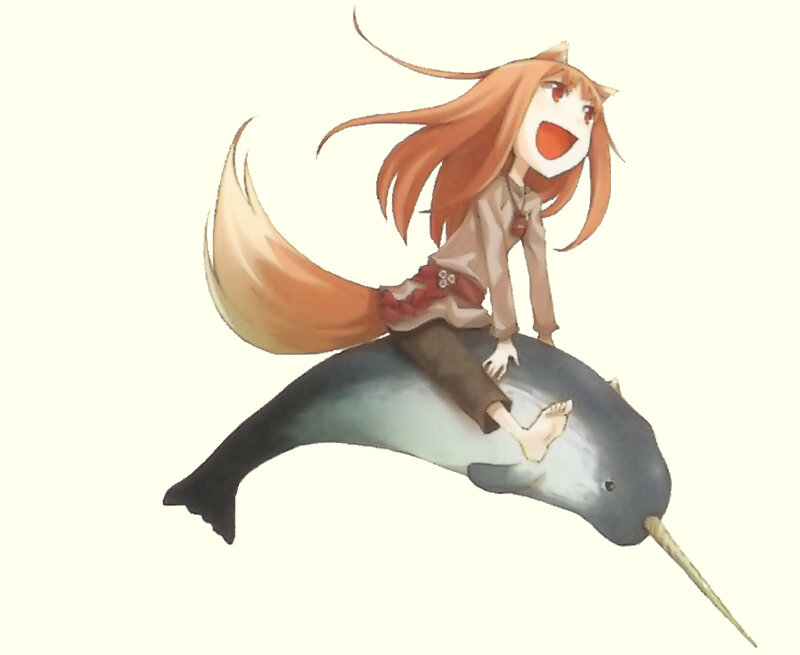 fox girl riding narwhal