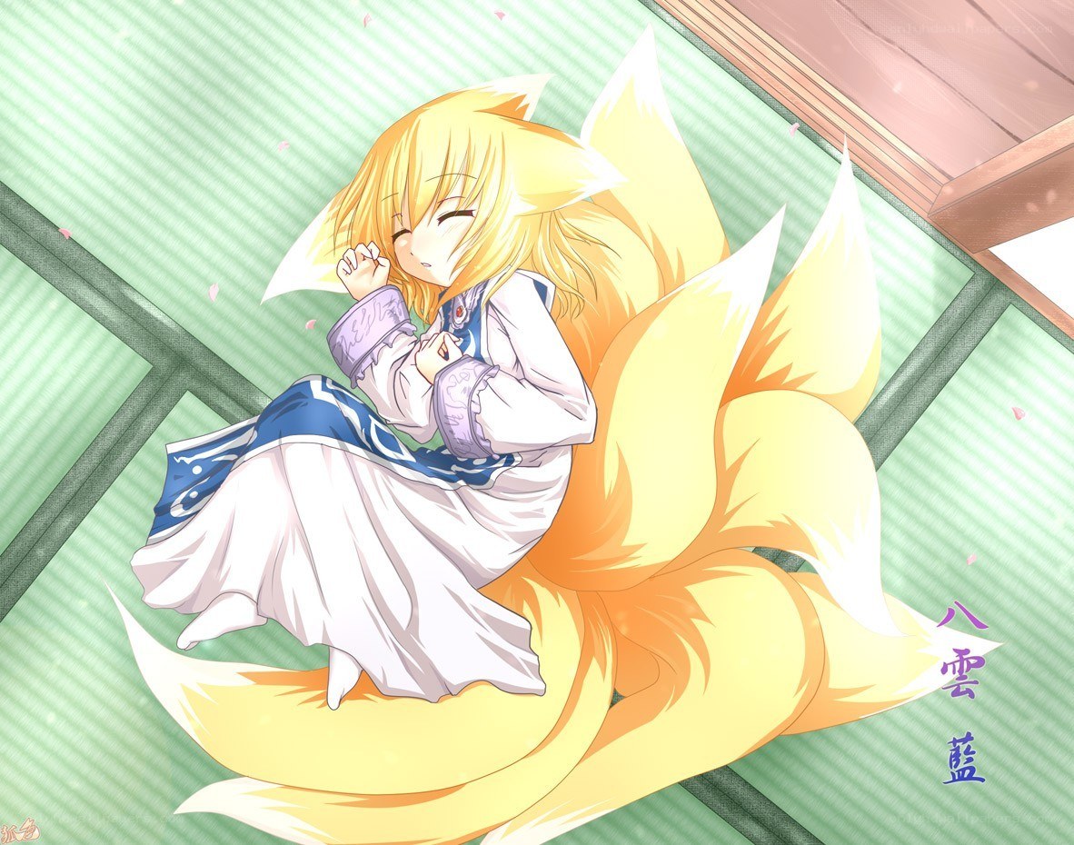 fox girl sleeping peacefully