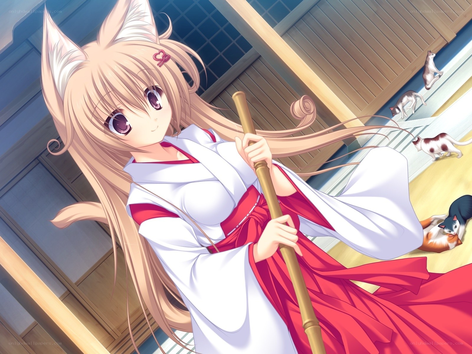 fox girl with staff