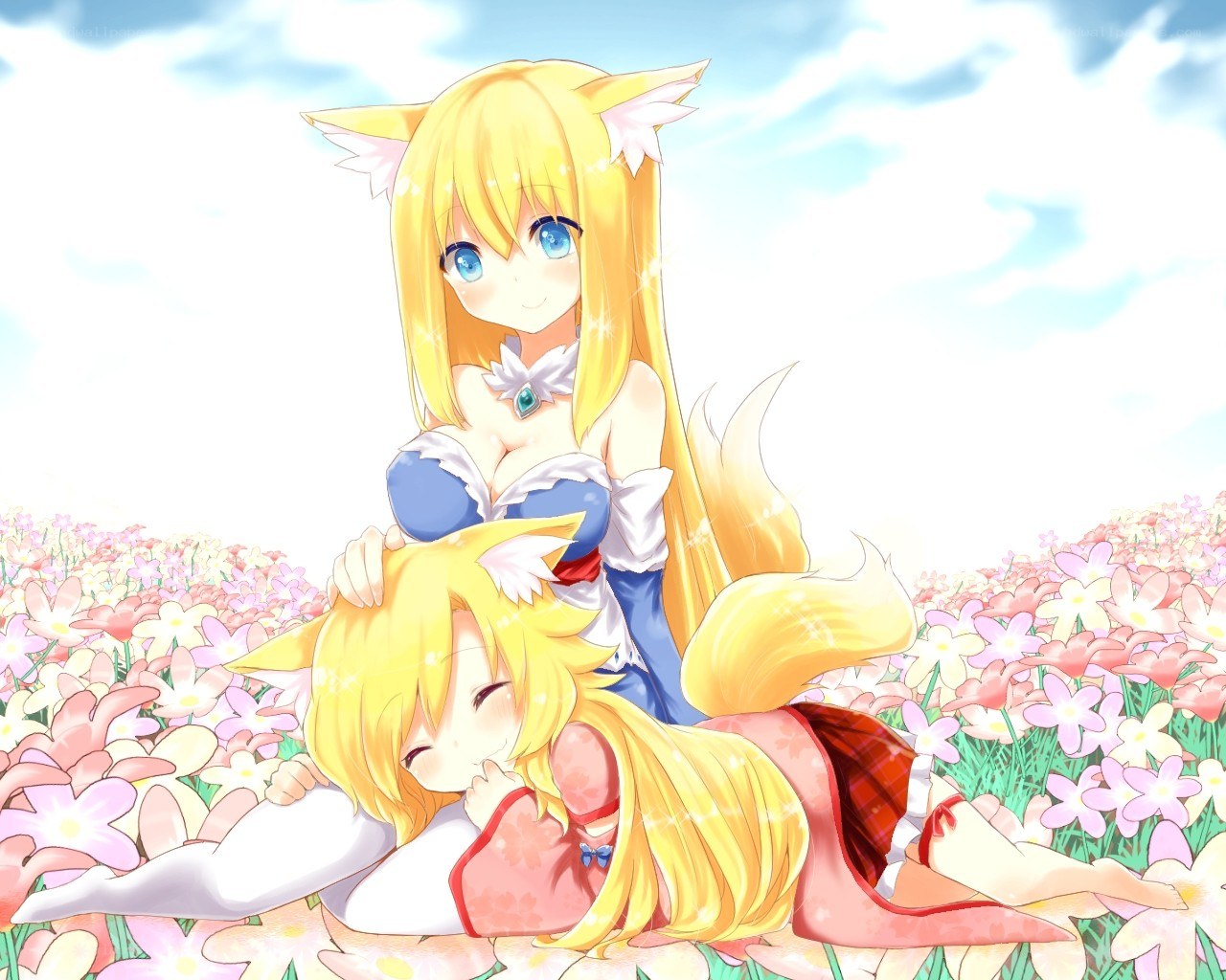 Fox girls in a flower field